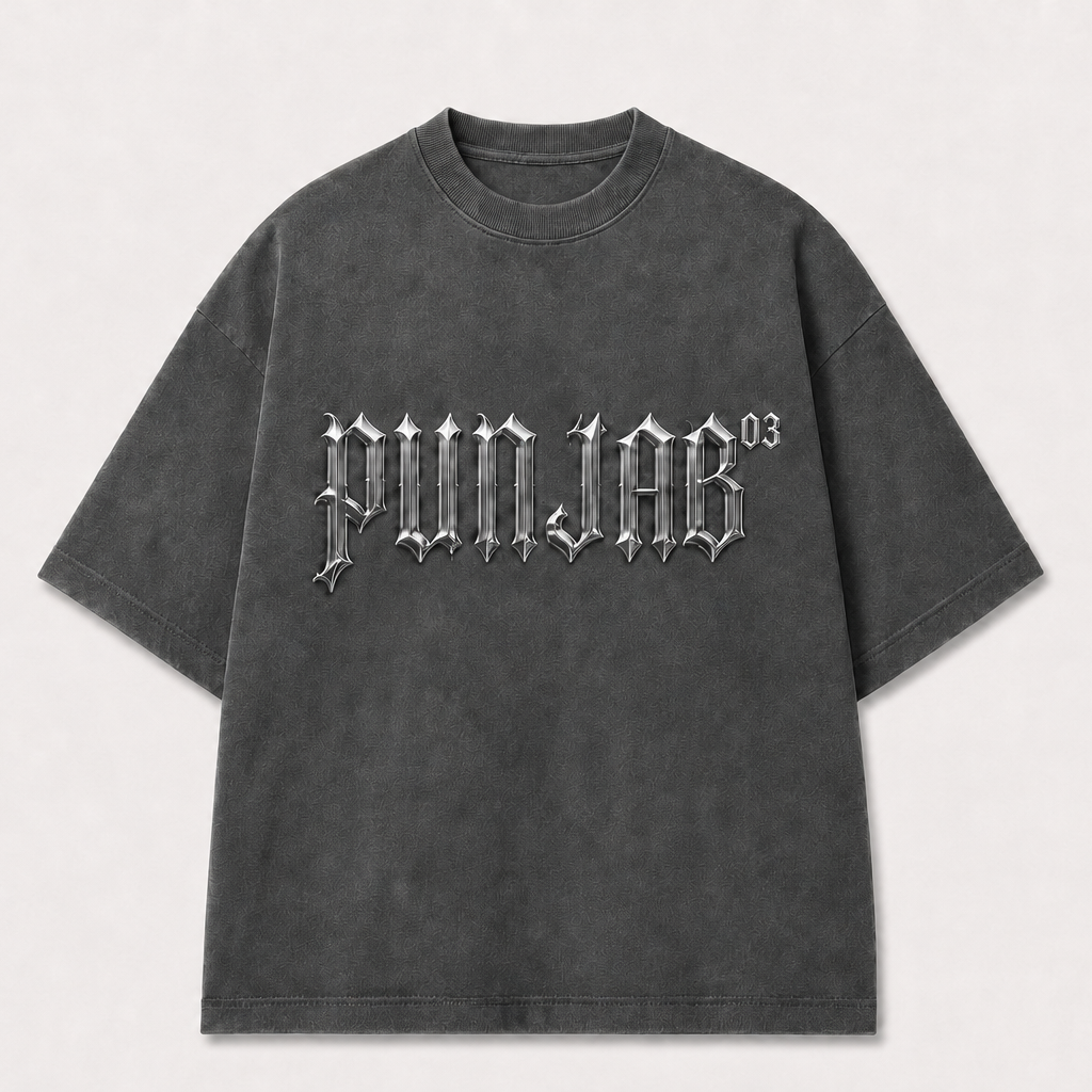 A dark gray mineral-washed t-shirt with 'PUNISAB 03' printed in a stylized silver gothic font across the chest, displayed on a light gray background.