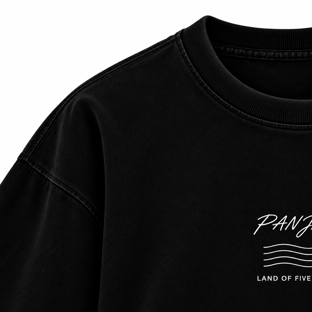 Panjab Heartland – Land of Five Rivers Oversized T-Shirt
