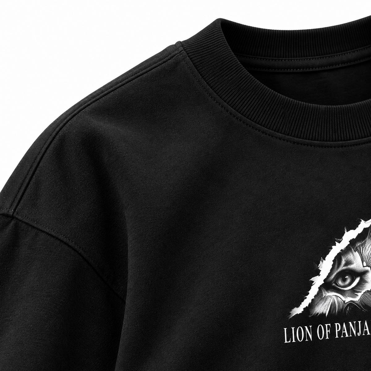 Lion of Panjab oversized T-shirt fabric and front print close-up