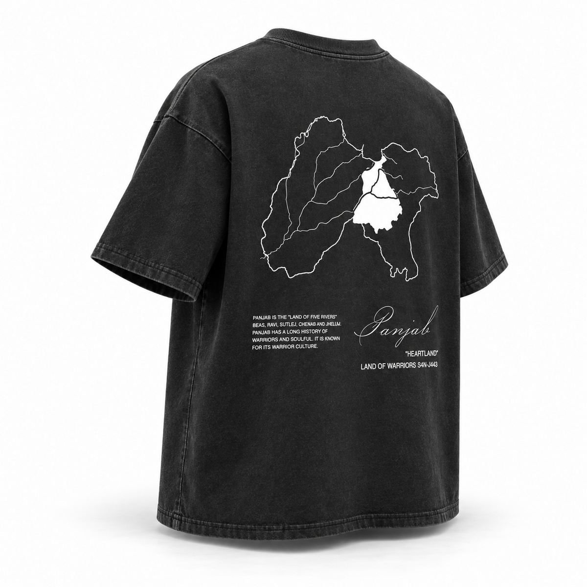 Panjab Heartland oversized acid wash T-shirt three-quarter back view